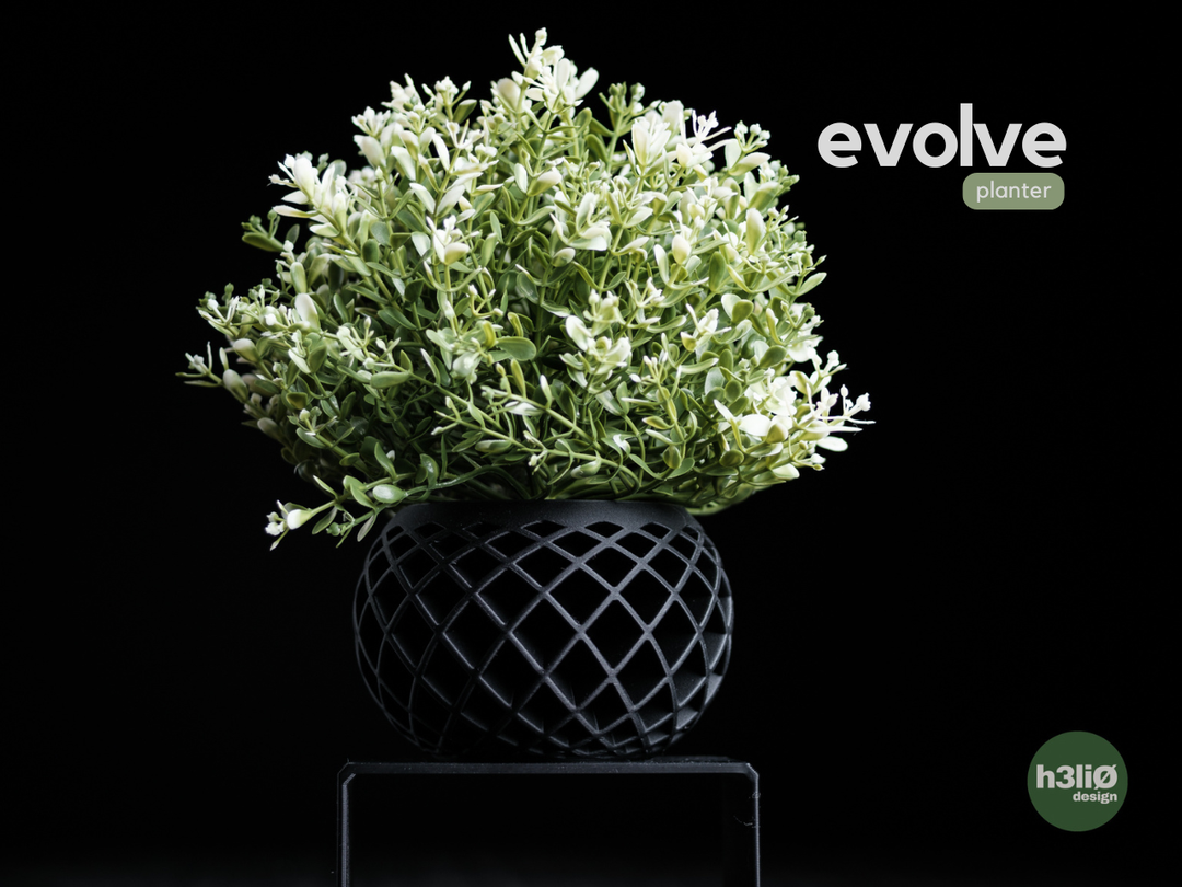 Evolve — Cache-pot pour plante décorative — photographie du créateur — designed by h3li0