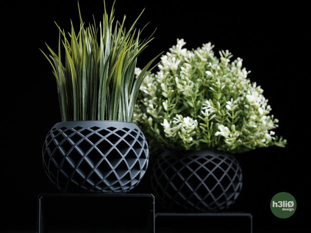 Evolve — Cache-pot pour plante décorative — visuel du créateur — designed by h3li0